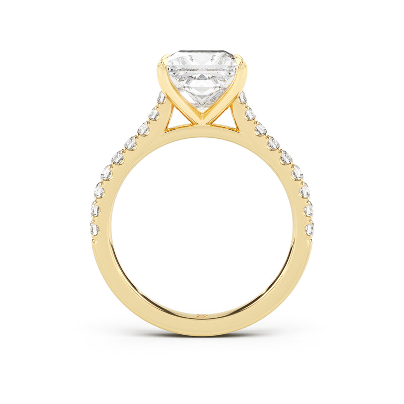 Embrace Engagement Ring with Diamond Band