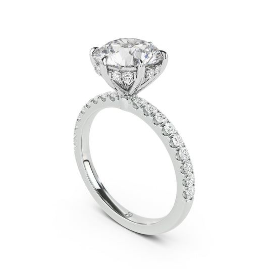 Petra Engagement Ring with Diamond Band