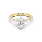 Notre Engagement Ring with Diamond Band