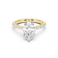 Notre Engagement Ring with Diamond Band