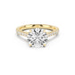 Notre Engagement Ring with Diamond Band