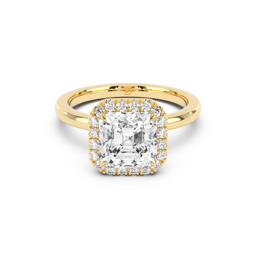 Stella Halo  Engagement Ring with Plain Band
