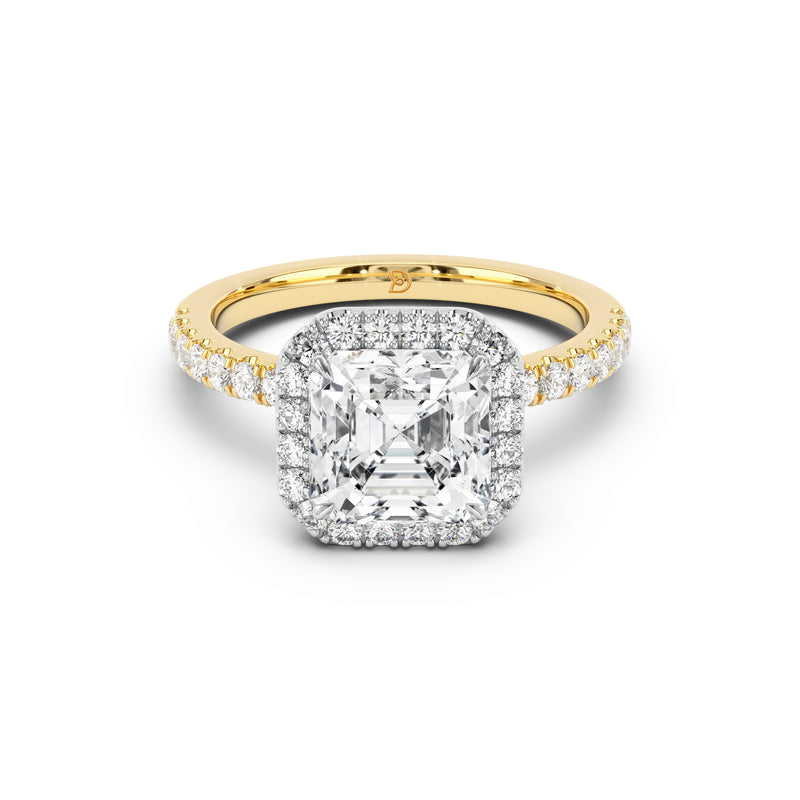 Stella Halo Engagement Ring with Diamond Band
