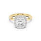 Stella Halo  Engagement Ring with Plain Band