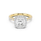 Stella Halo Engagement Ring with Diamond Band