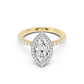 Stella Halo Engagement Ring with Diamond Band