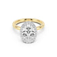 Stella Halo  Engagement Ring with Plain Band