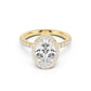 Stella Halo Engagement Ring with Diamond Band