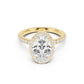 Stella Halo Engagement Ring with Diamond Band