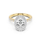Stella Halo Engagement Ring with Diamond Band