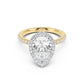 Stella Halo Engagement Ring with Diamond Band