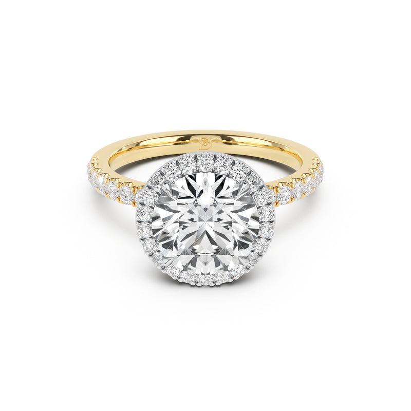Stella Halo Engagement Ring with Diamond Band