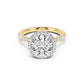 Stella Halo Engagement Ring with Diamond Band