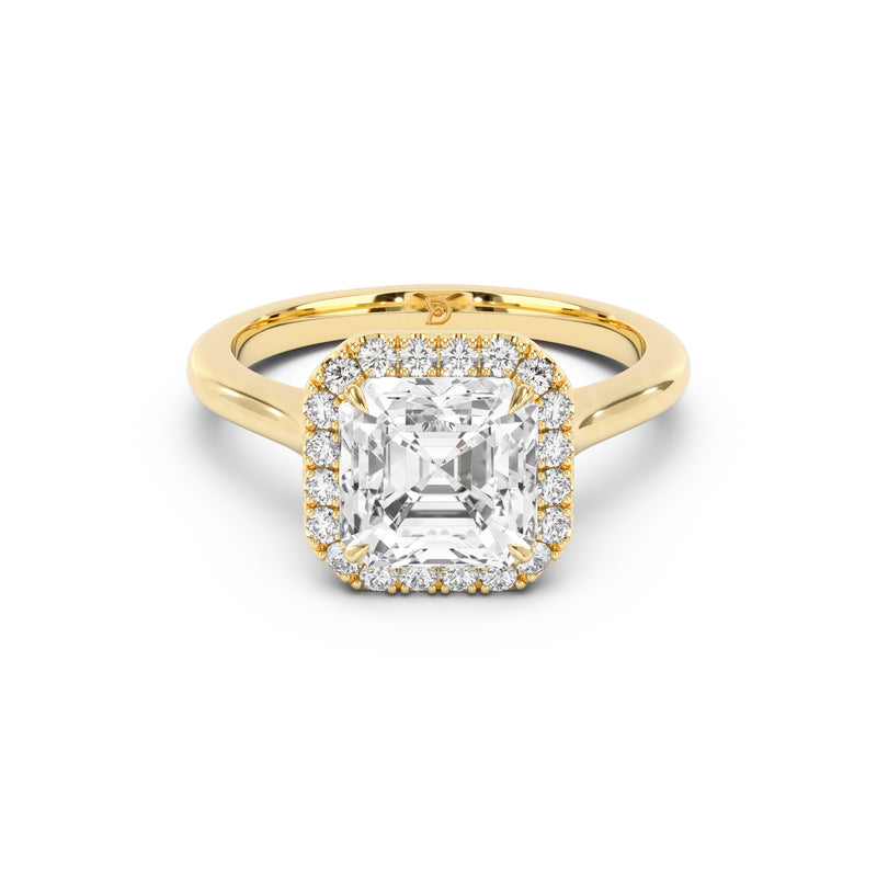 Aurora Halo Cathedral Ring