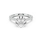 Theodore Engagement Ring with Diamond Band