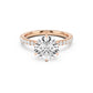 Petra Engagement Ring with Diamond Band